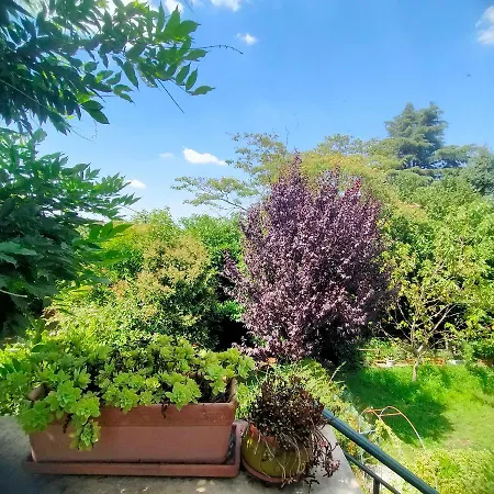 Il Glicine Apartment
